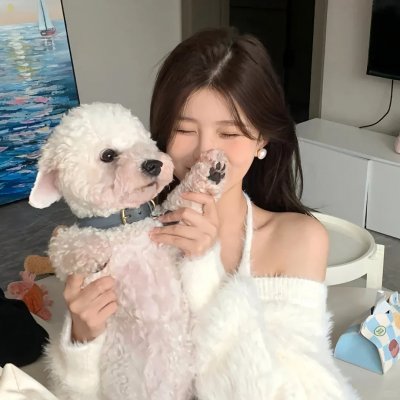 龙公主的冒险